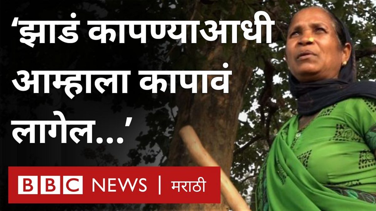 BBC - 'आमच्या जंगलातील झाडं कापण्यापूर्वी आम्हाला कापावं लागेल'
