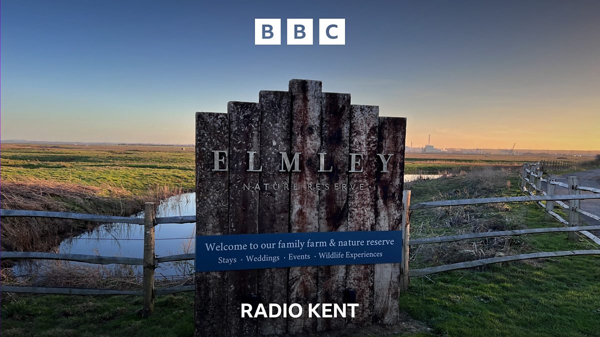 BBC Radio Kent - BBC Radio Kent, Sheppey: A twitching ramble