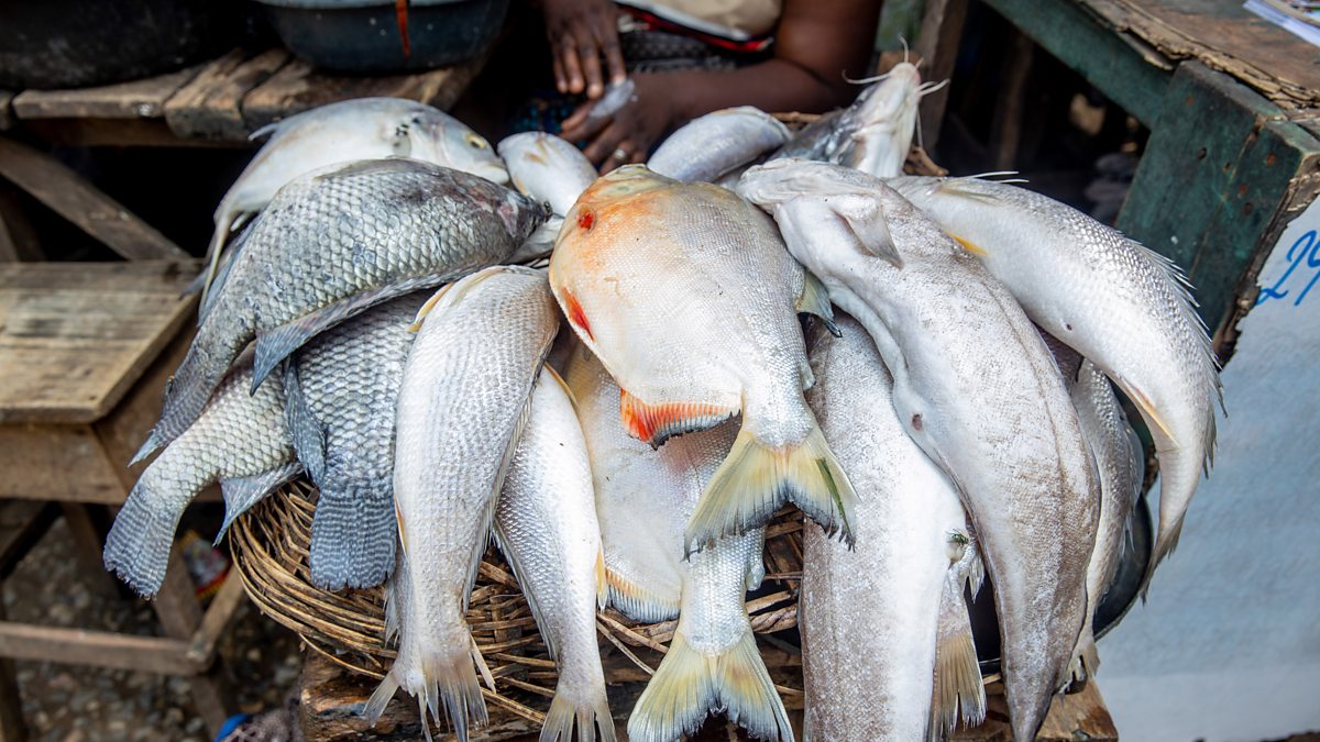 BBC World Service Newsday, Nigeria costofliving crisis 'We're