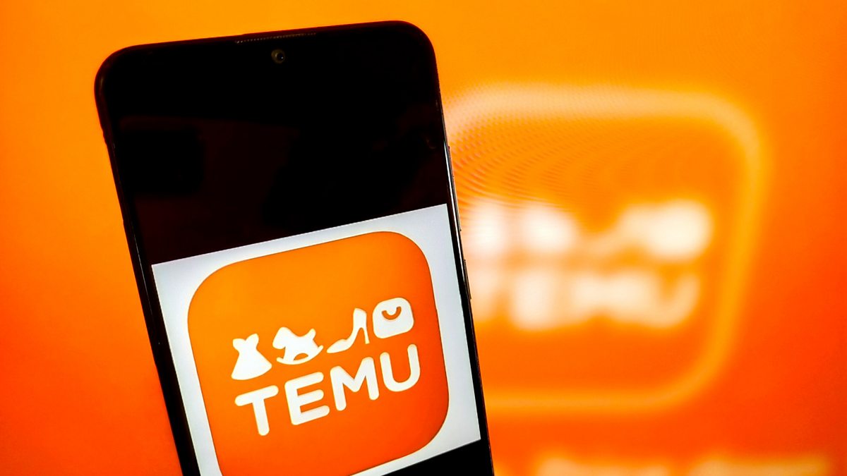 BBC World Service - Business Daily, Why is Temu so cheap?