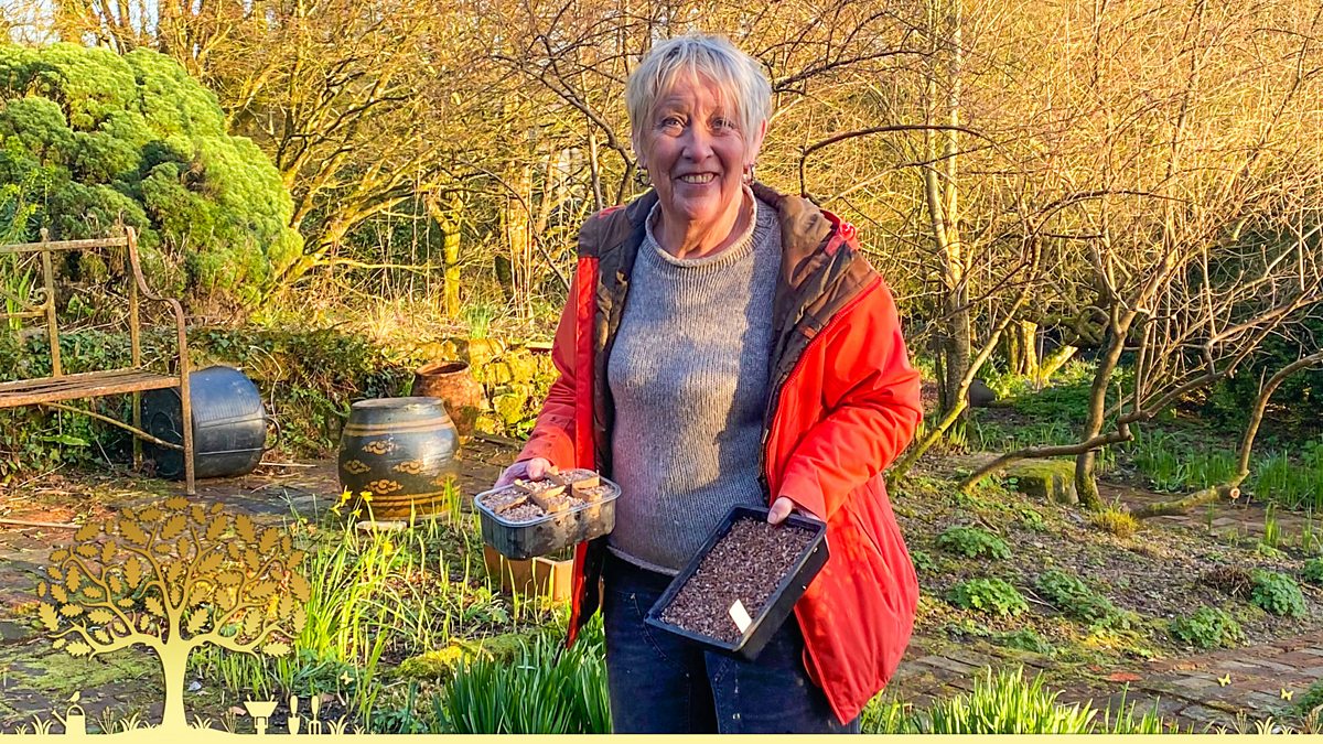 BBC Two Gardeners' World, 2024, Episode 2