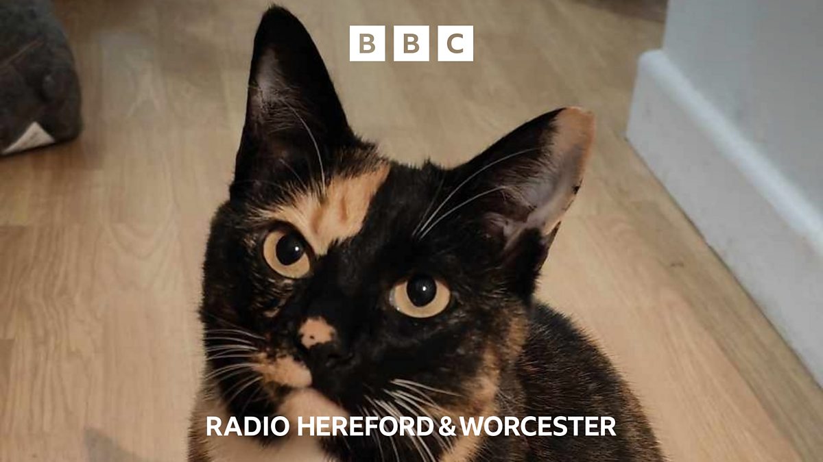 BBC Hereford & Worcester - BBC Hereford & Worcester, Petition demands ...