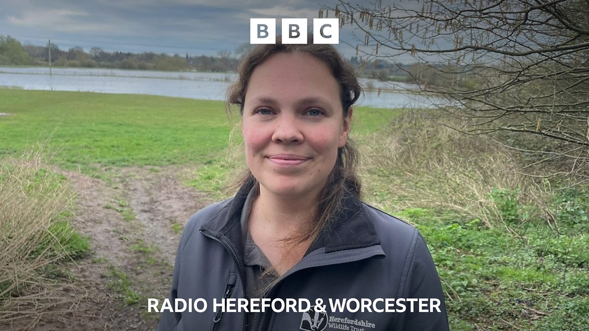 BBC Hereford & Worcester - BBC Hereford & Worcester, Herefordshire ...