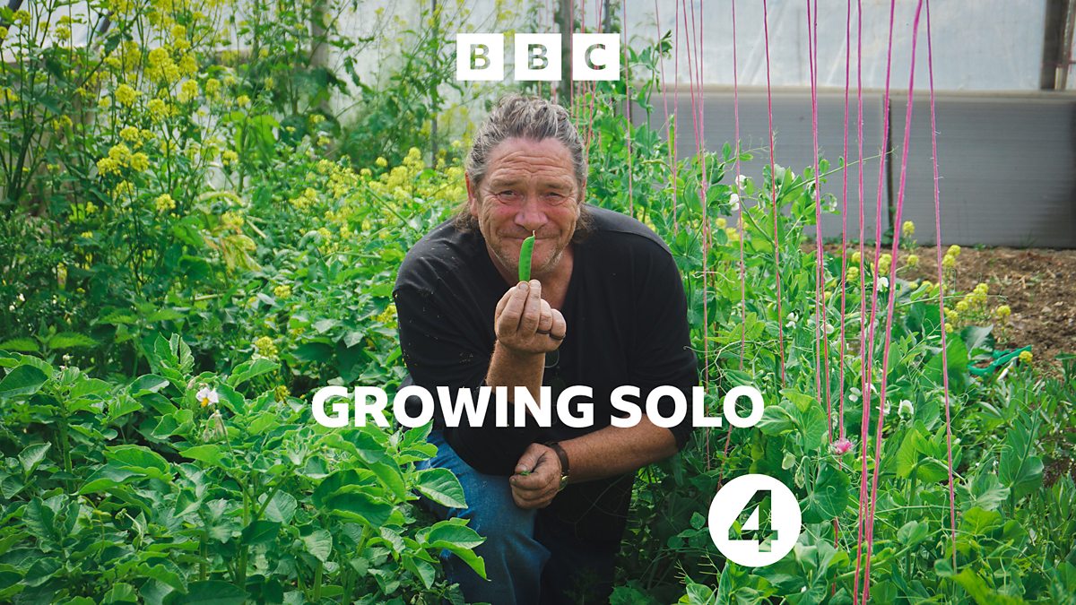 BBC Radio 4 - Growing Solo, One Million Calories