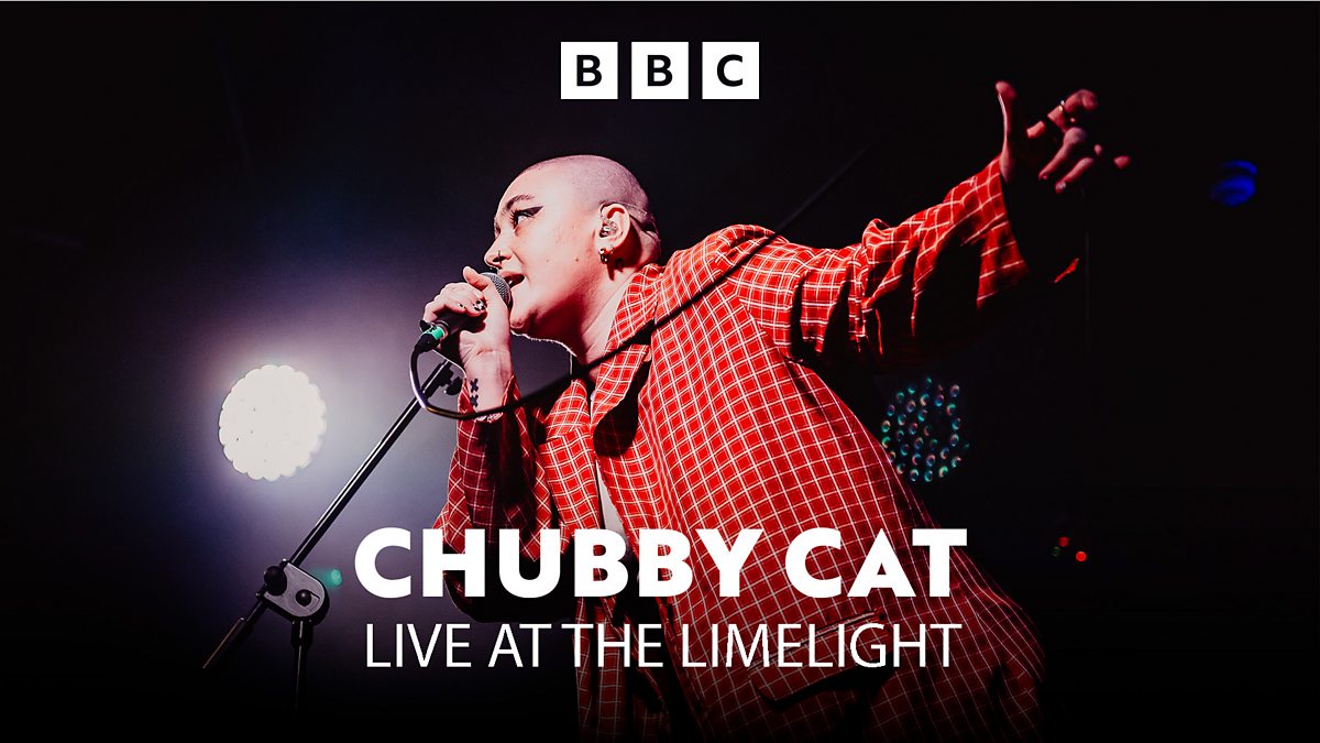 BBC Radio Ulster - Live at the Limelight, Series 1, Chubby Cat