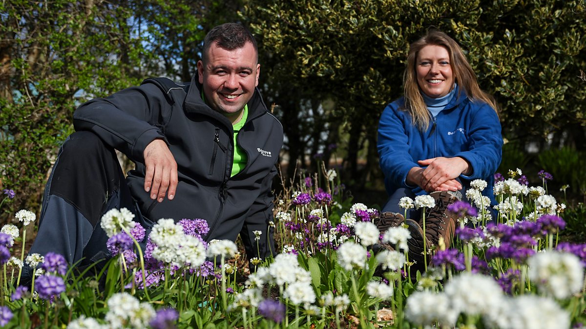 Beechgrove Garden - 2024: Episode 4 - BBC iPlayer