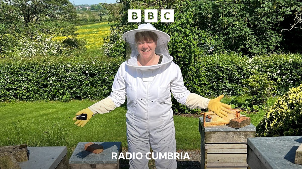 BBC Radio Cumbria BBC RADIO CUMBRIA, My sweet KirkandrewsuponEden honey