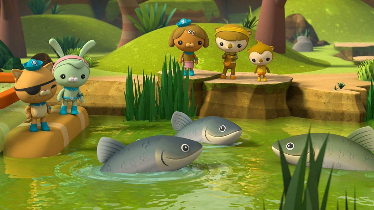 Octonauts: Above & Beyond - Series 2: 21. Giant Carp - BBC IPlayer