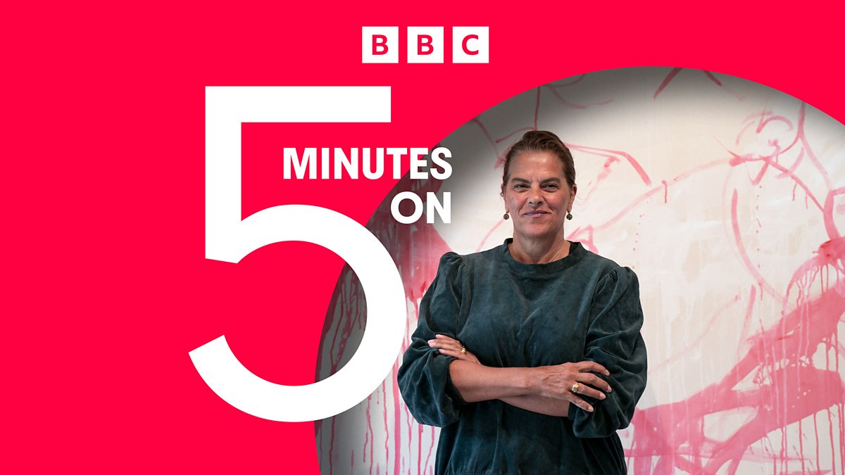 BBC News - 5 Minutes On, Tracey Emin - nothing like a Dame