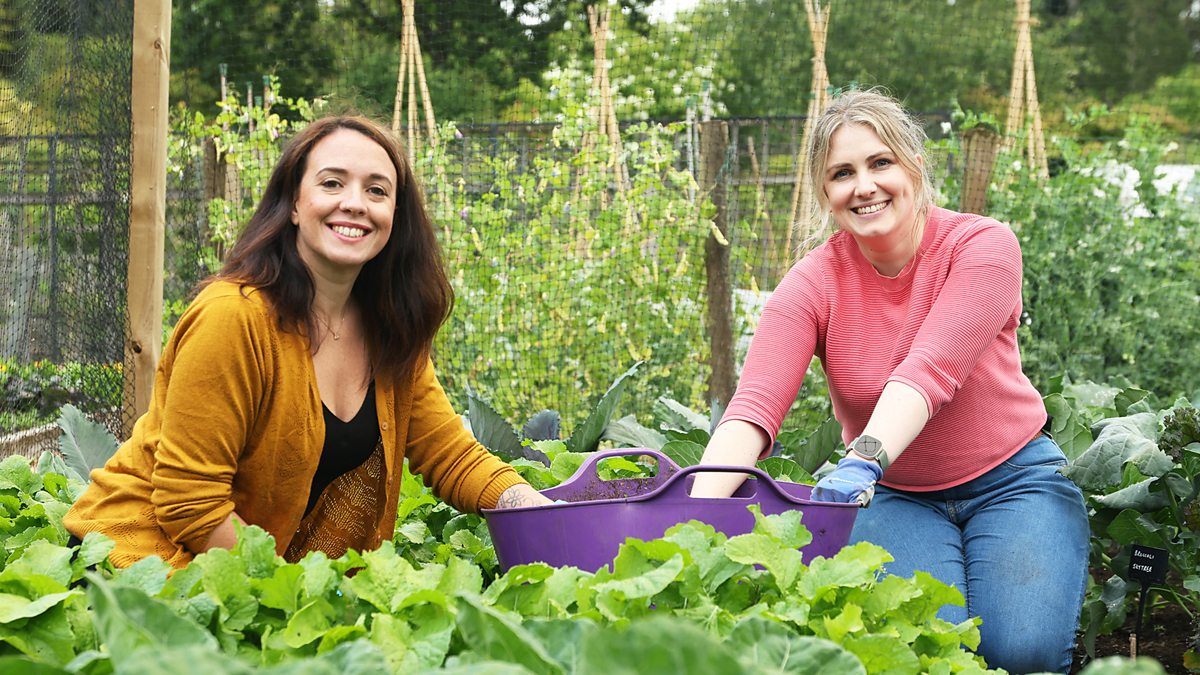 BBC Scotland - Beechgrove Garden, 2024, Episode 14