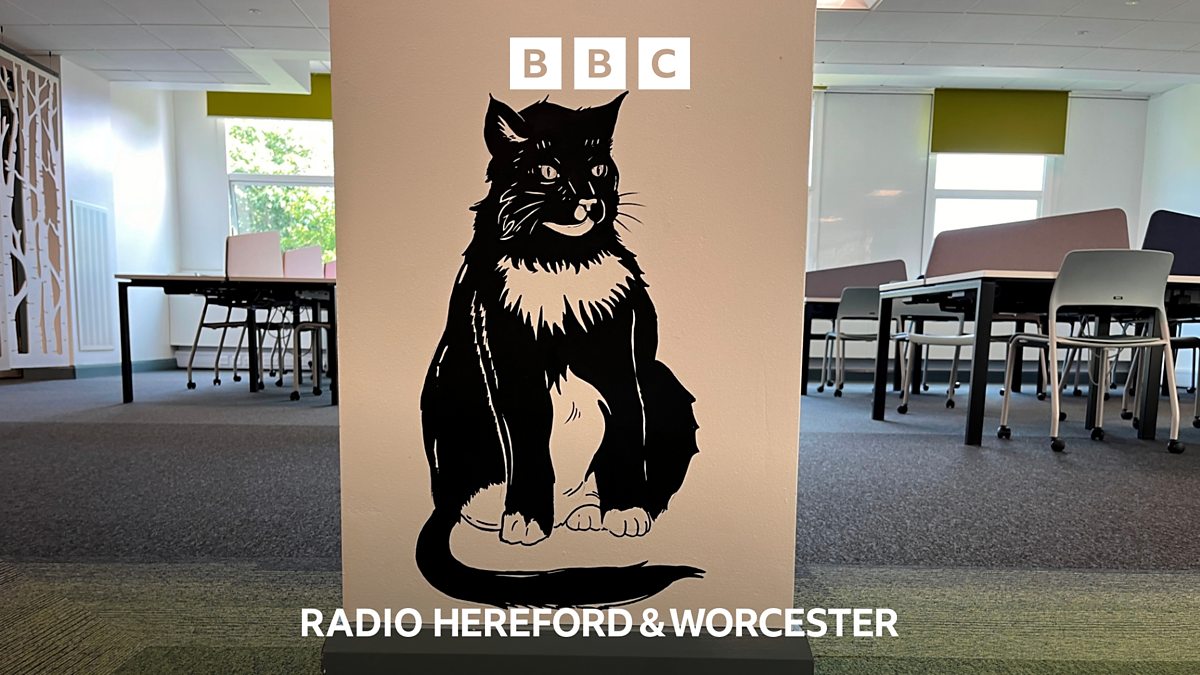 BBC Hereford & Worcester - BBC Hereford & Worcester, The Worcester cat ...