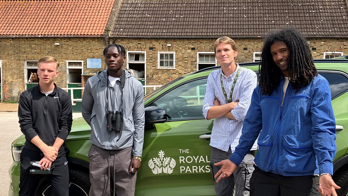 BBC Radio 4 - Open Country, Football Falcons Rookies and Rooks