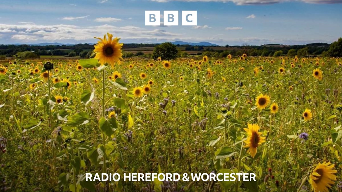 BBC Hereford & Worcester - BBC Hereford & Worcester, The joy of a ...