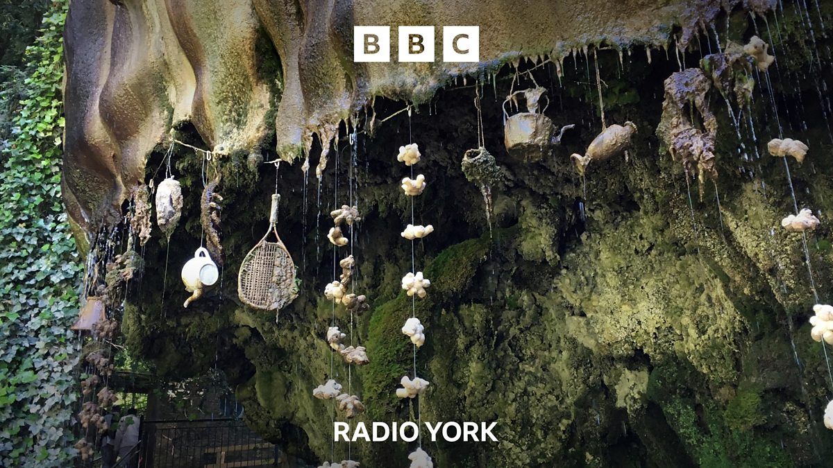 BBC Radio York Secret North Yorkshire How A Knaresborough Waterfall 
