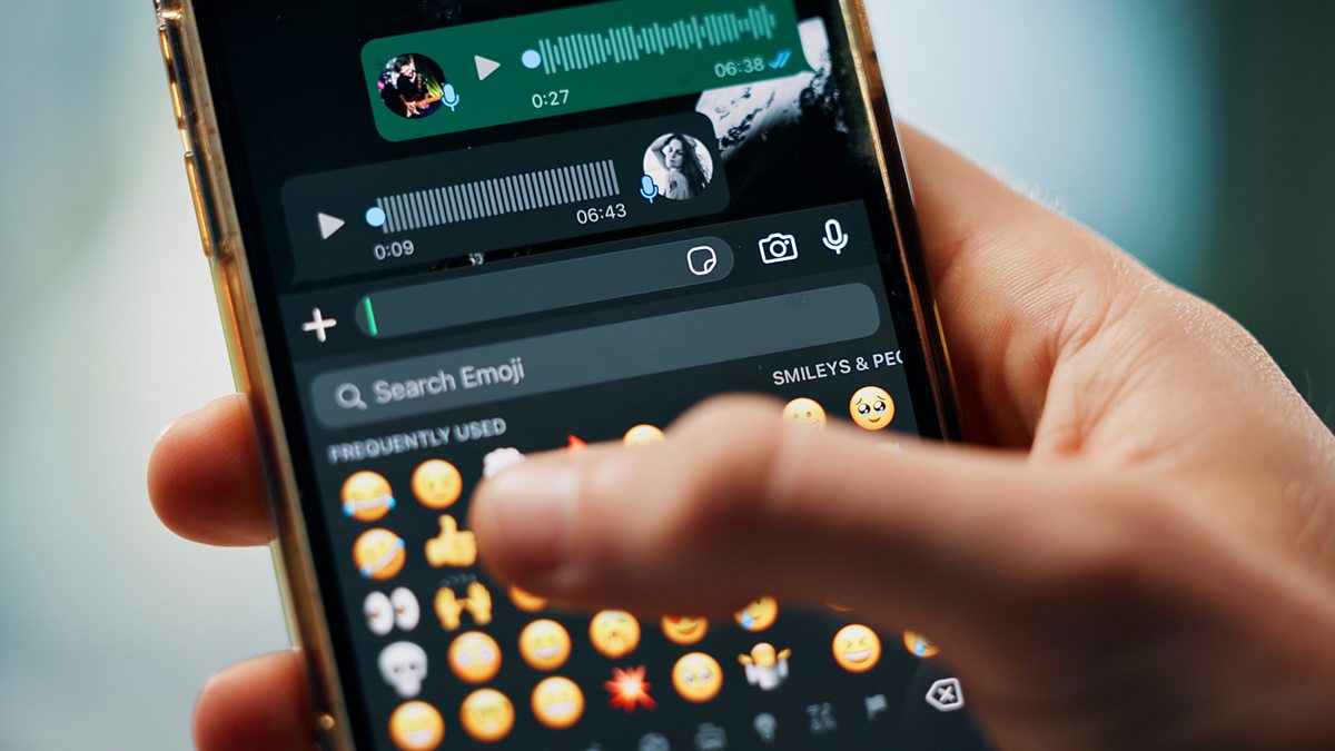 BBC Radio 4 - Word of Mouth, Social media language - Rizz, skibidi ...