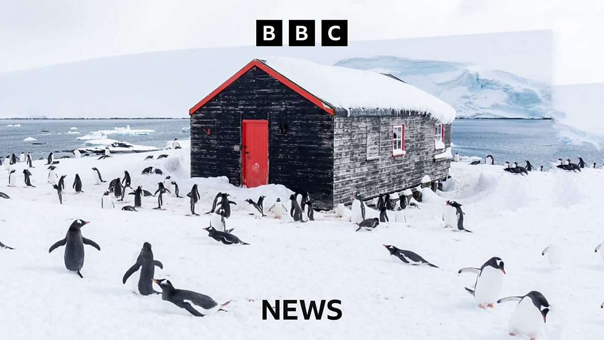 BBC Is working in a post office in Antarctica your dream job?
