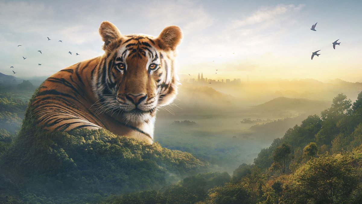 BBC Trailers - Asia - BBC iPlayer