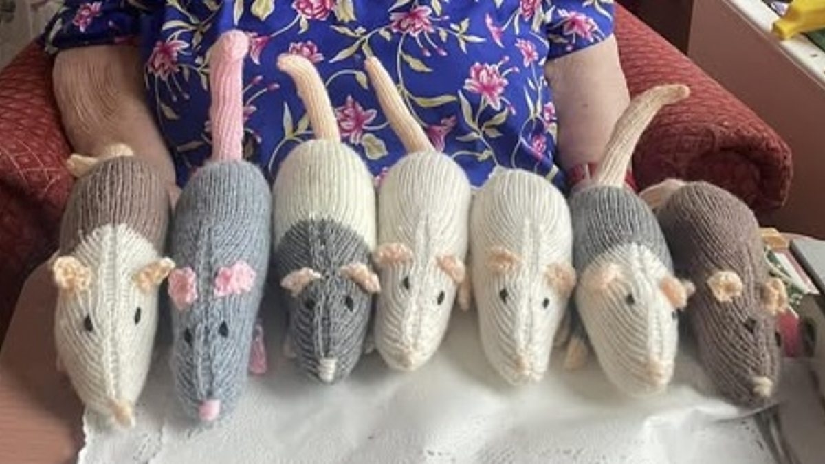 BBC Radio Devon - John Acres, 06/02/2025, 500 knitted rats are needed