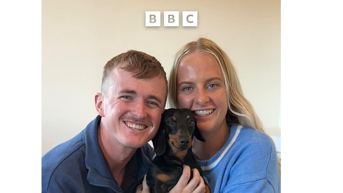 Tiny Dog’s Big Adventure: Safe Return Home