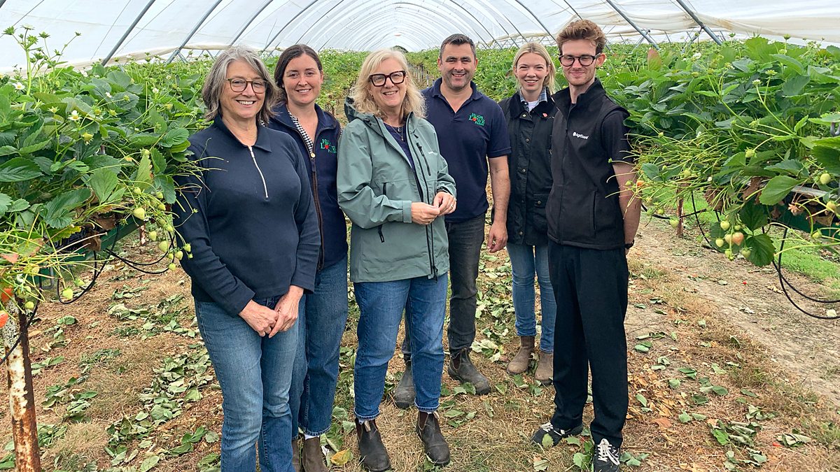 BBC Radio 4 - On Your Farm, Insects to the Rescue