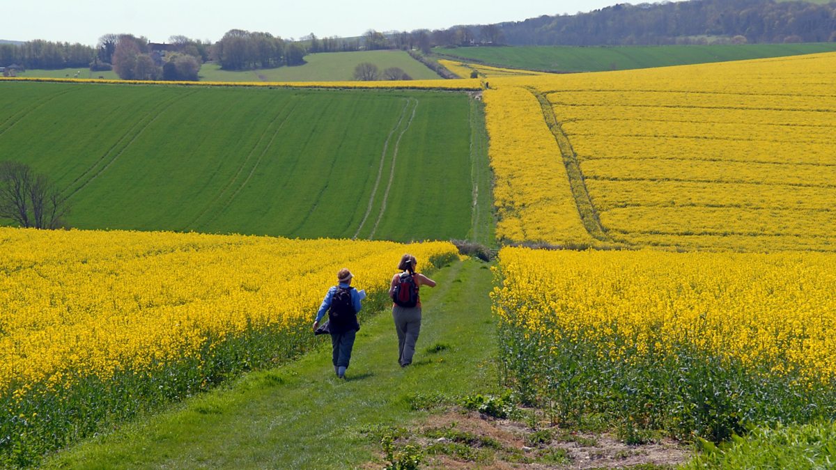 Longer Daily Walk Better for Heart Health, Says Study