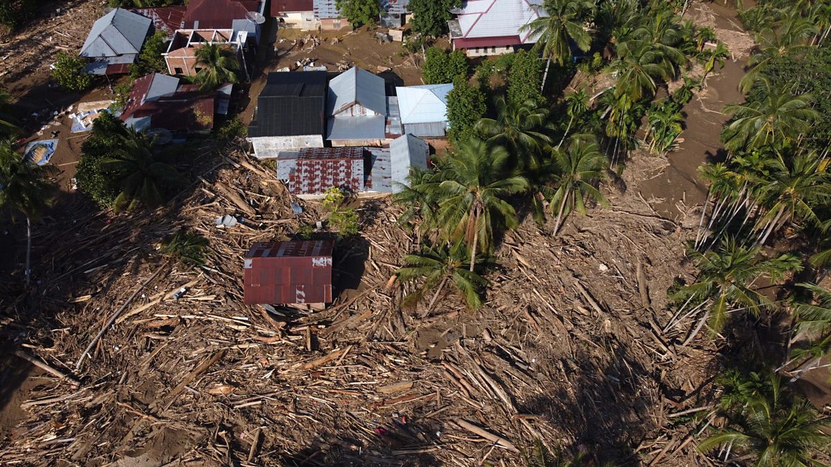 A plea from Indonesia: 'Help my country'