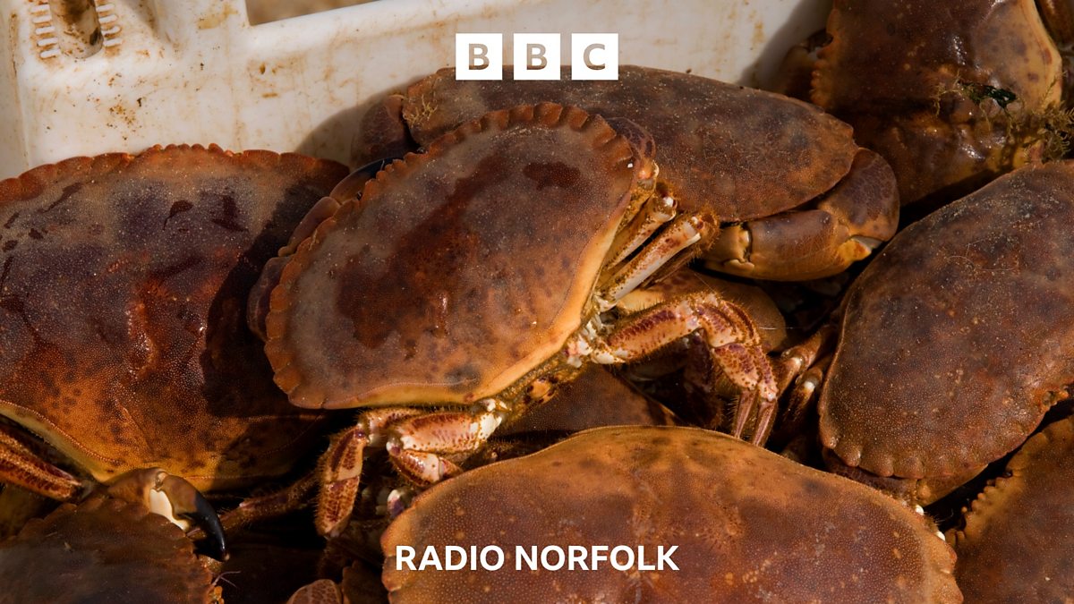 BBC Radio Norfolk BBC Radio Norfolk, Why are Cromer crab catches down?
