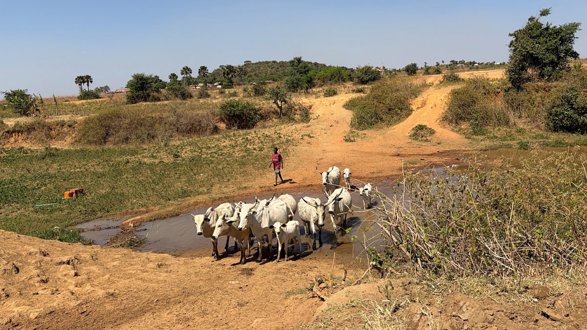 US Strikes Nigeria: What This Really Means For Our Sovereignty