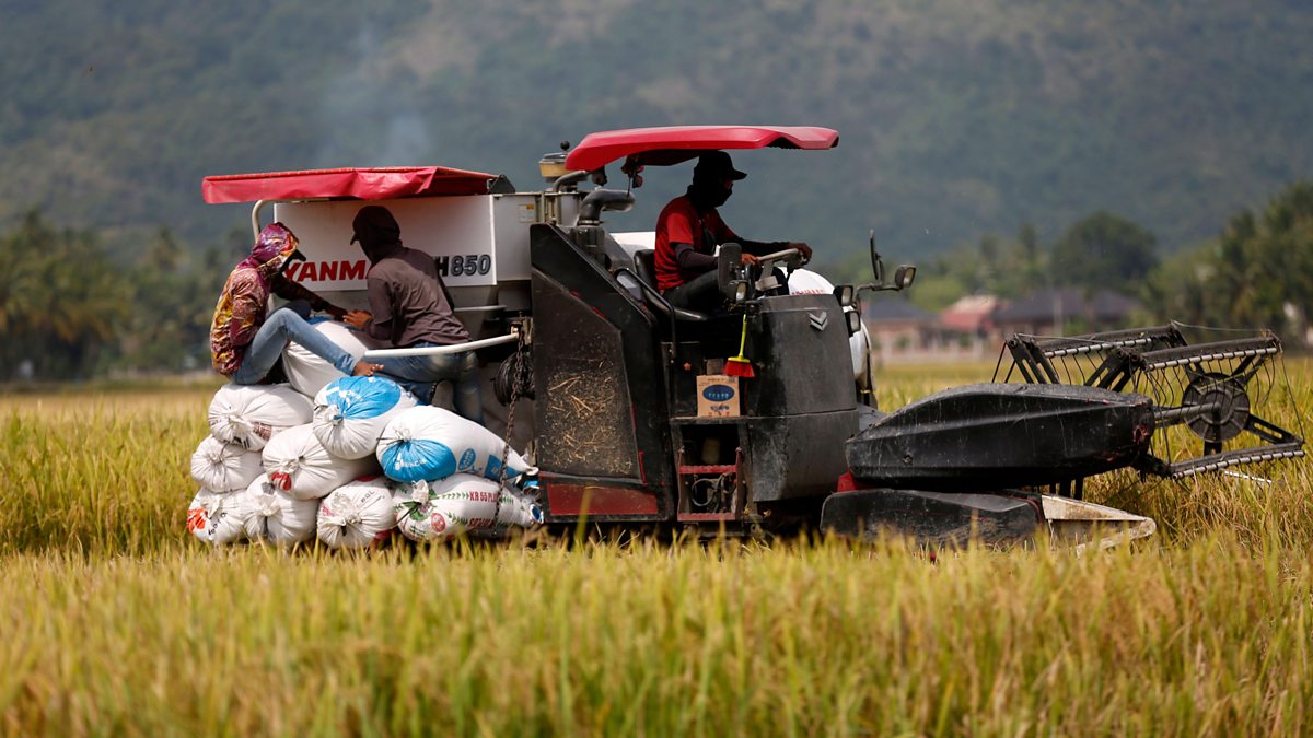 Warnings that Iran war risks global food crisis