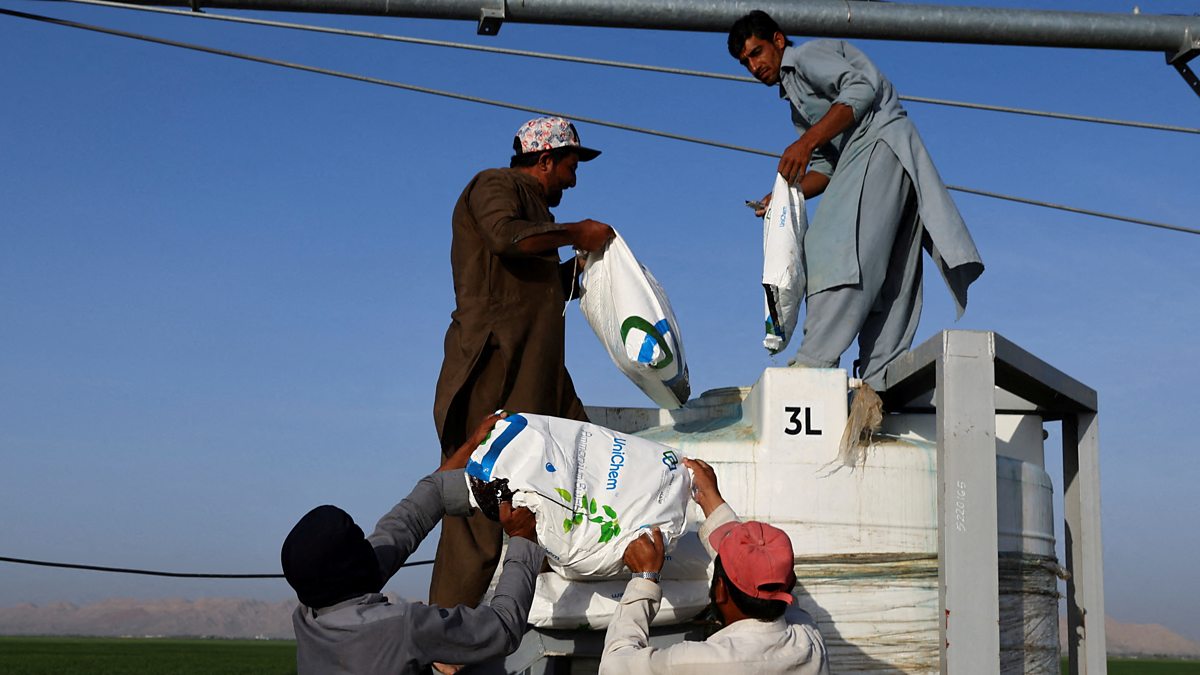Risk of global food shortage from Iran War