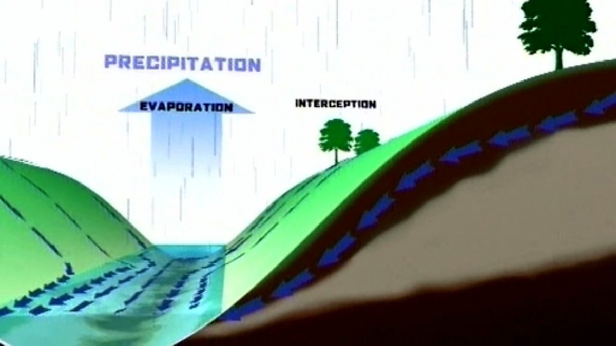 The hydrological cycle BBC Bitesize