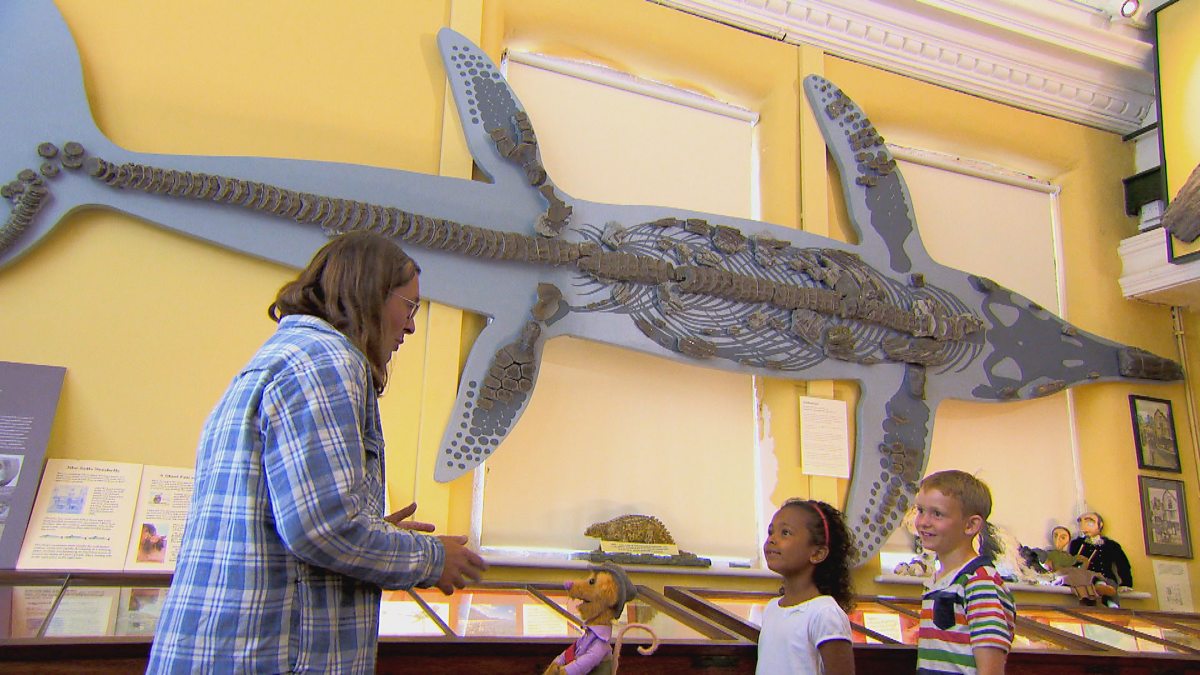 Geography KS1 / KS2 Fossil hunting along the Jurassic Coast BBC Teach