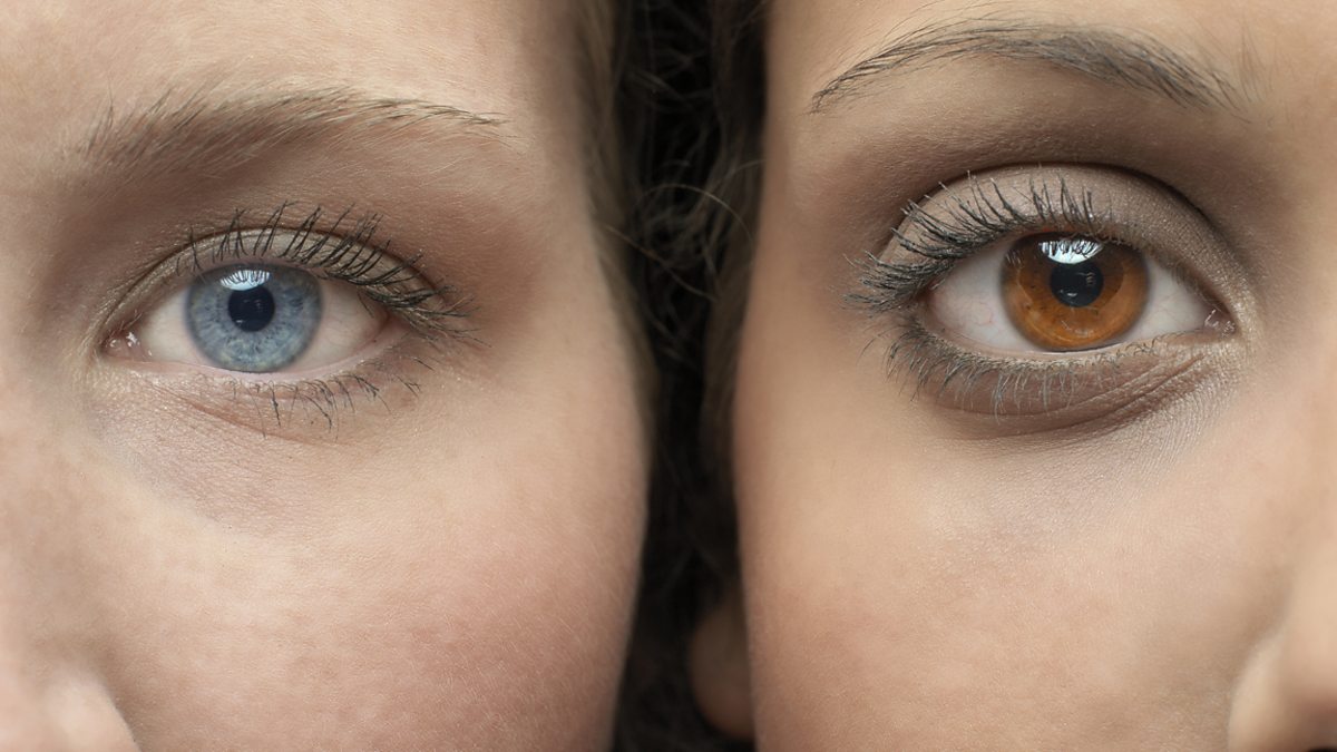 information test questions National 4 Biology BBC Bitesize