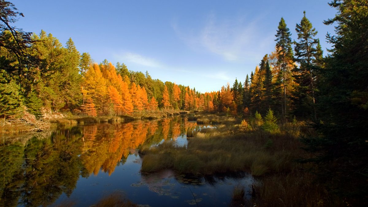 science-ks1-ks2-the-changing-seasons-bbc-teach