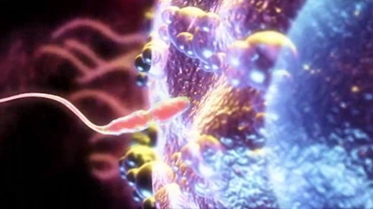 Sexual Reproduction - Explaining Key Biological Concepts: Video ...