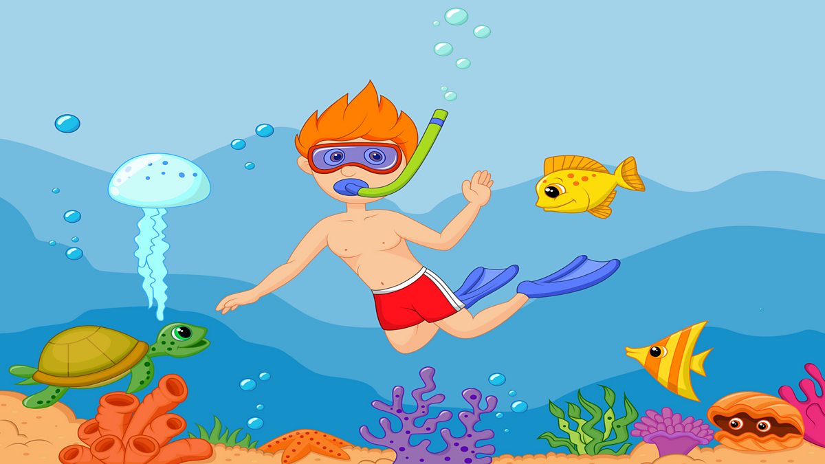 EYFS: Listen and Play - Under the sea - BBC Teach