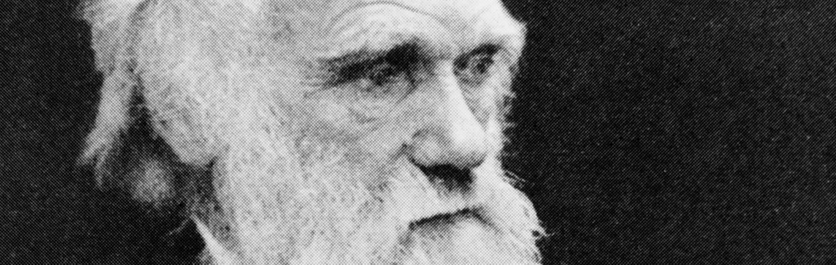 Charles Darwin – Survival of the Fittest