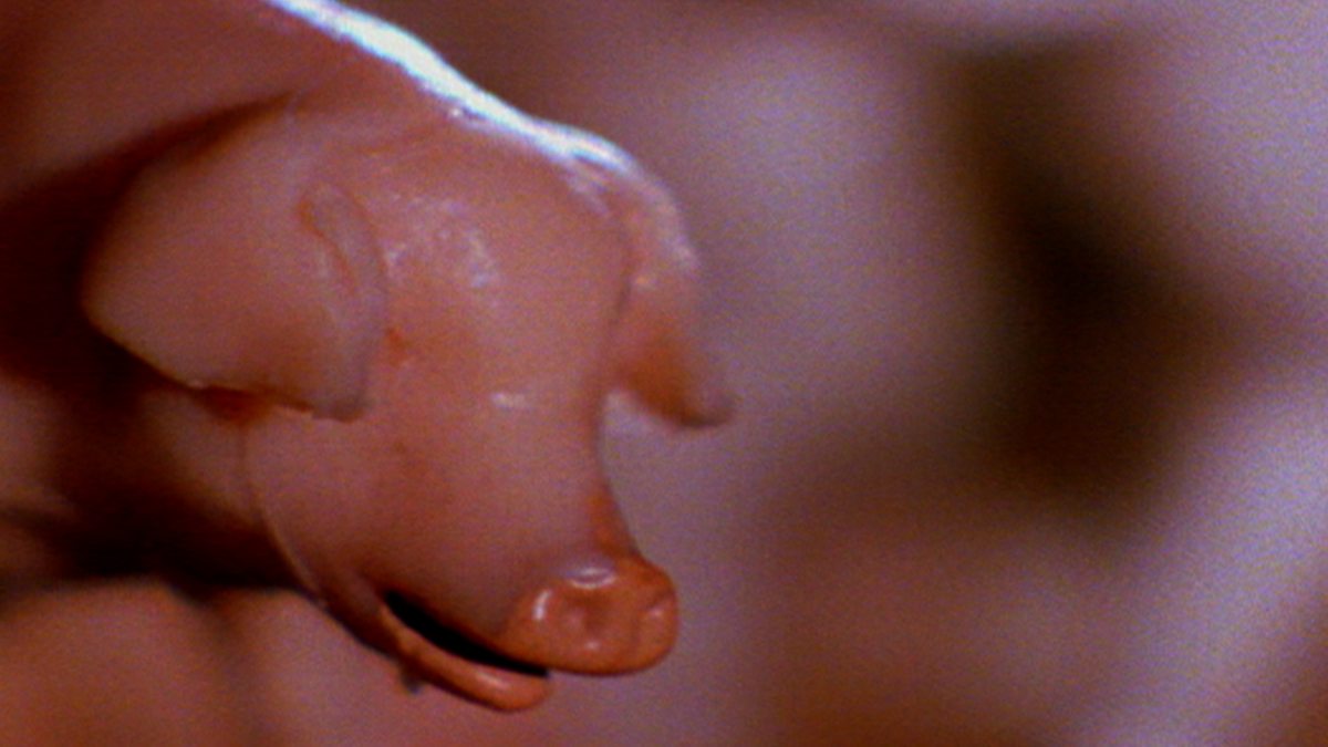 Animal Farm - themes - Modern prose: Video playlist - BBC Bitesize