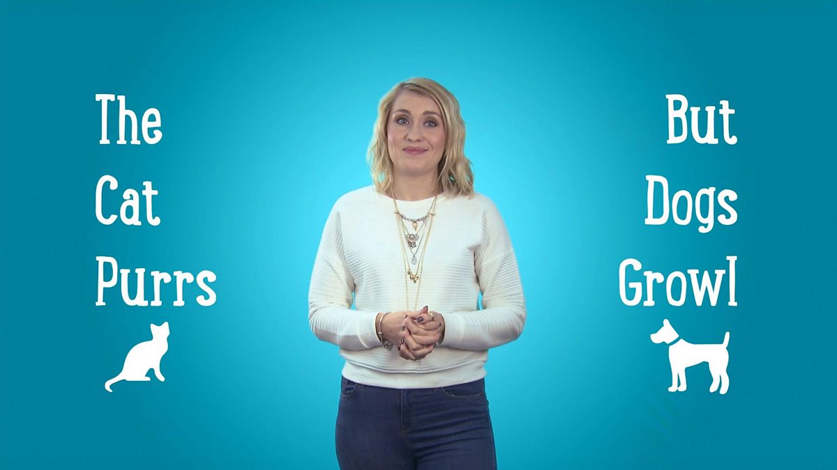 Treiglad trwynol Nasal mutation BBC Bitesize