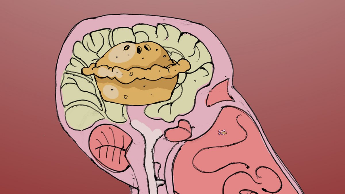 GCSE Food Technology: Understanding How the Five Senses Guide Food Choice