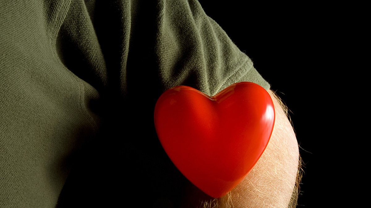Носить сердце на рукаве. To Wear your Heart on your Sleeve. Wear your Heart on your Sleeve. Wear heart