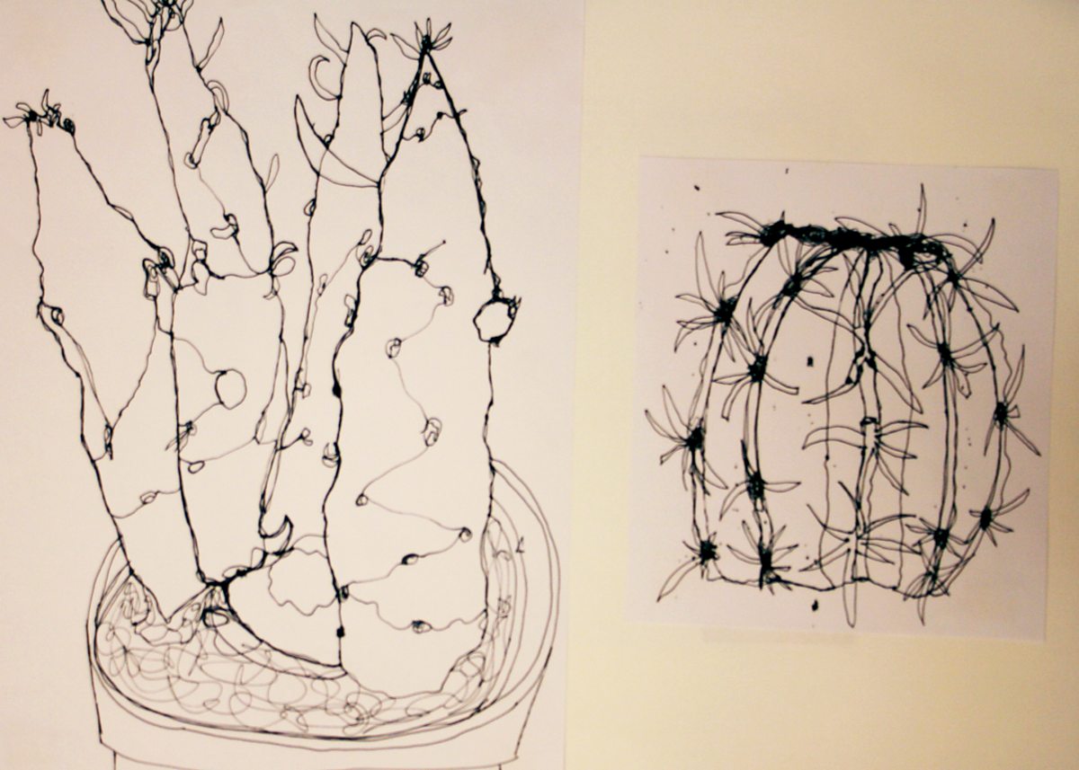 Analytical drawing for design Analytical drawing OCR GCSE Art and