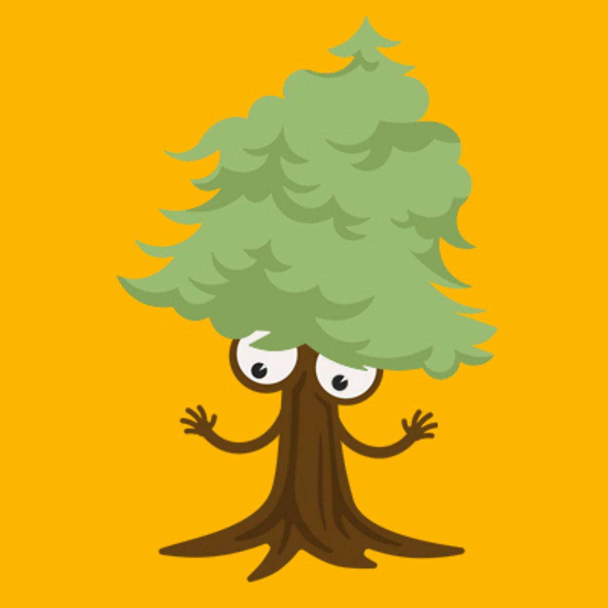 Trees: Lesson resources - BBC Teach