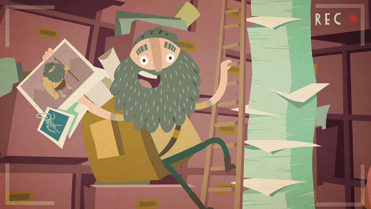 What can we learn from fossils? BBC Bitesize