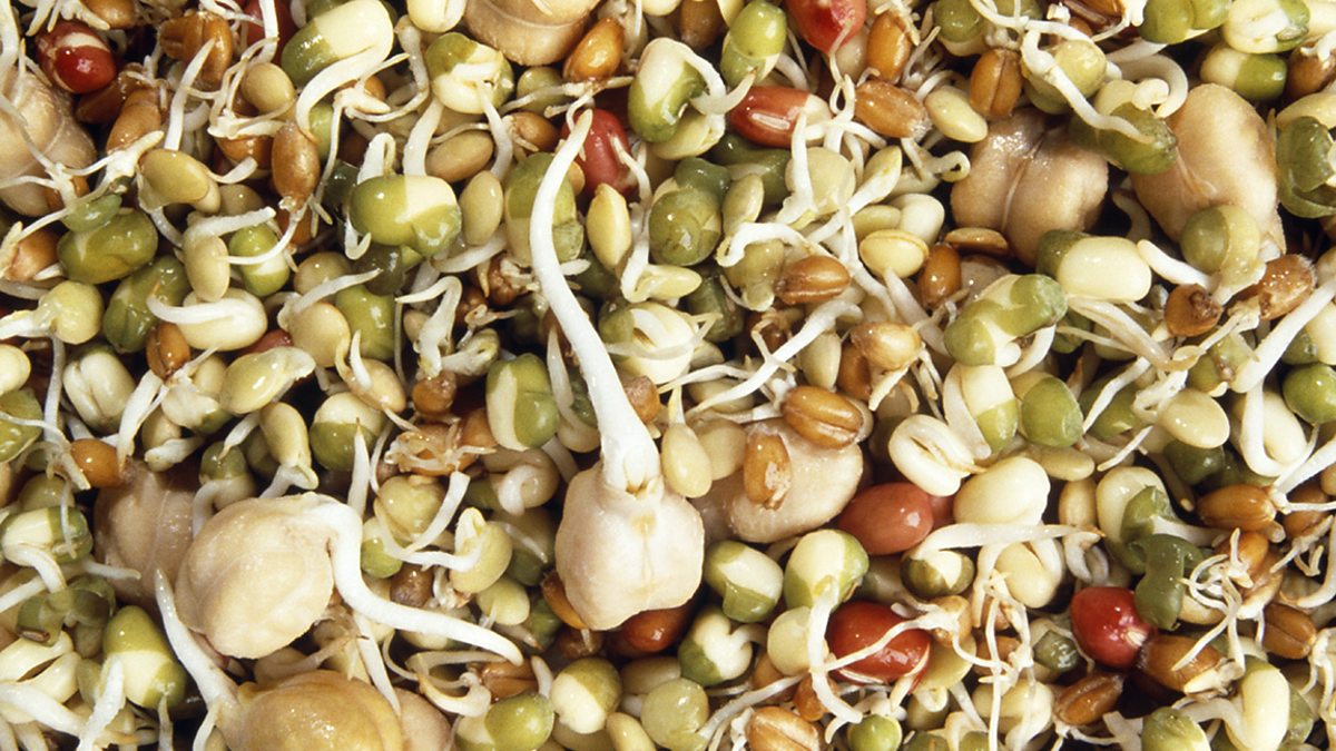 Plant hormones Edexcel test questions GCSE Biology (Single Science