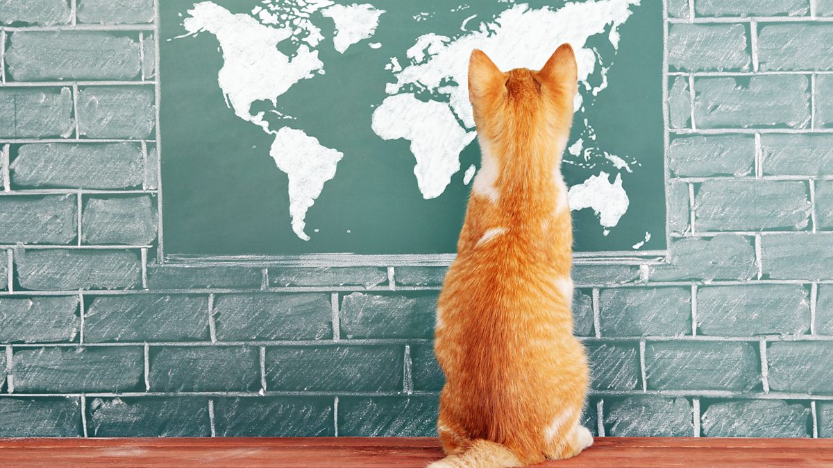 BBC Learning English - 6 Minute English / How do pets navigate?