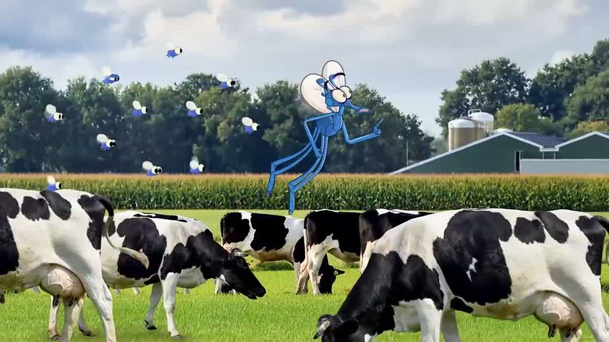 Why do animals taste things differently? BBC Bitesize