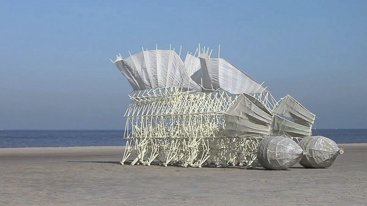 c Learning English 英语大破解 Strandbeests 荷兰艺术家建造 风力仿生兽