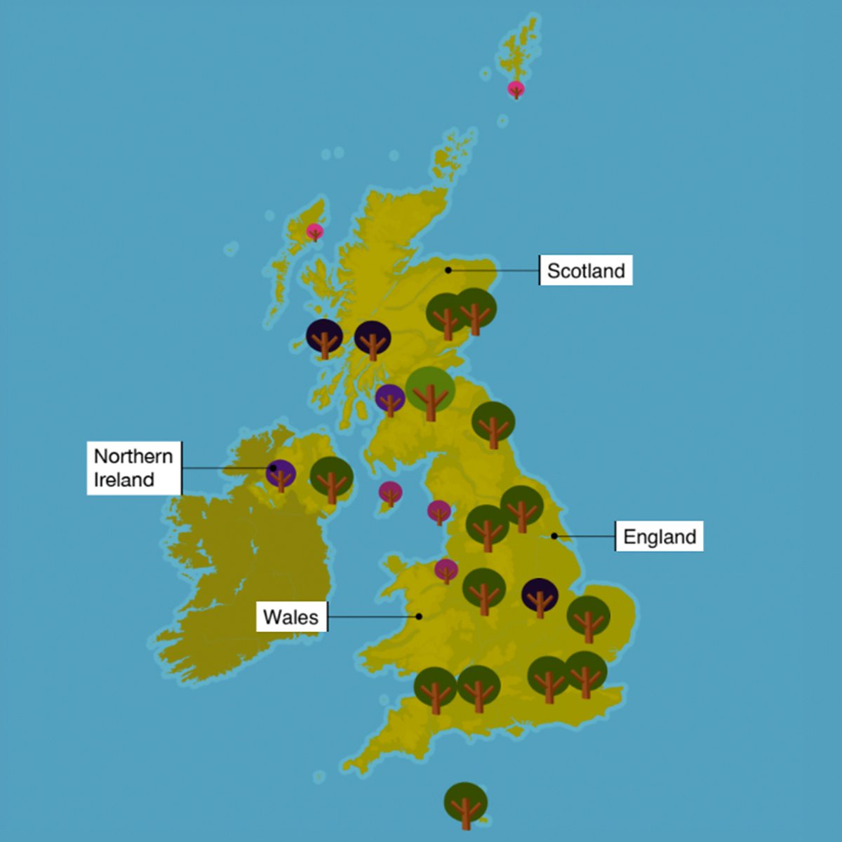 Trees Map Bbc Teach