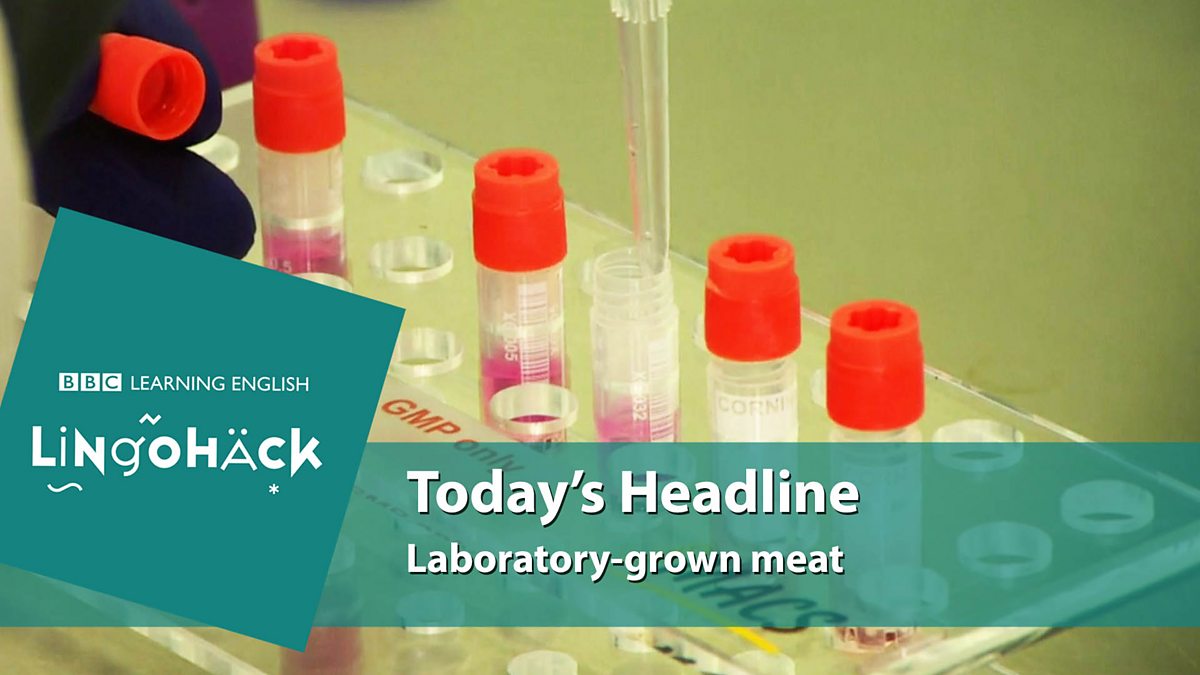 c Learning English Lingohack Laboratory Grown Meat